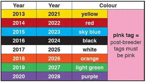 sheep colour chart 2021.png